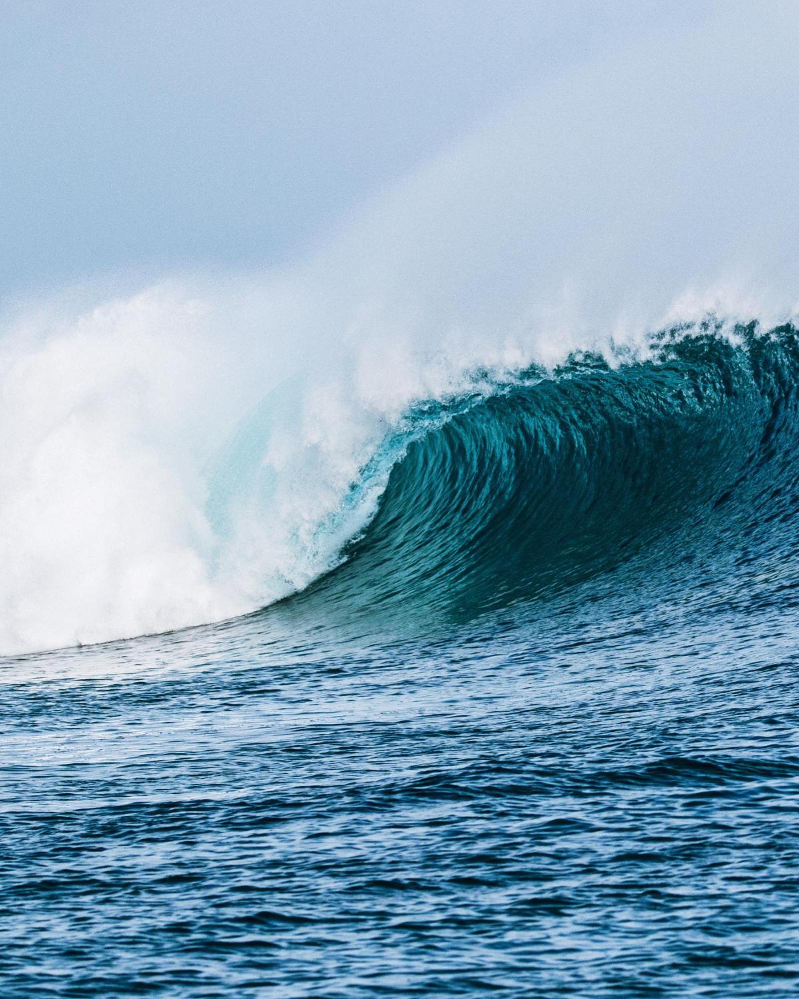 Twin Palms 'surfhouse' Affittacamere Thulusdhoo