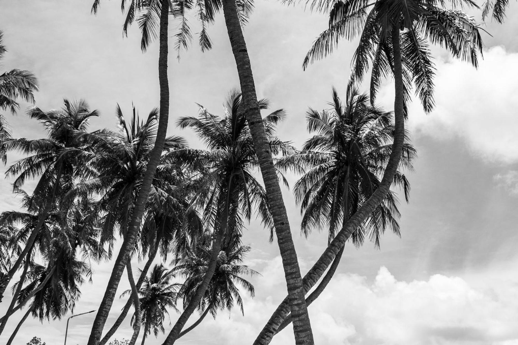 Twin Palms 'surfhouse' Affittacamere *
