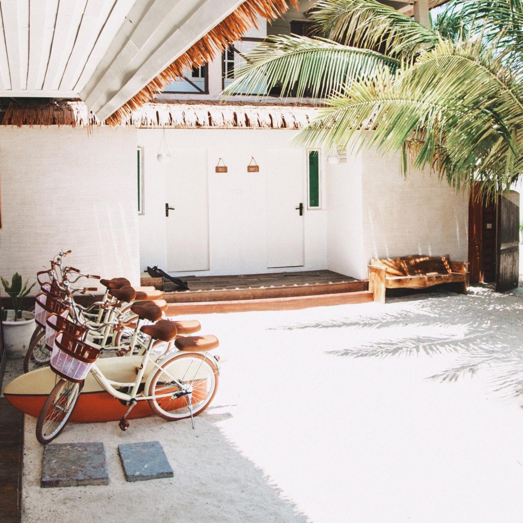 Affittacamere Twin Palms 'surfhouse'